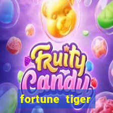 fortune tiger plataforma nova